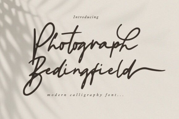 Photograph Bedingfield: A Signature Script Font for Modern Design